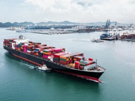 Fundamental Analysis